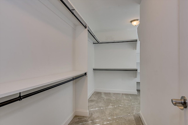 824 Brasstown Ct, Evans, GA 30809 - spacious closet with light colored carpet
