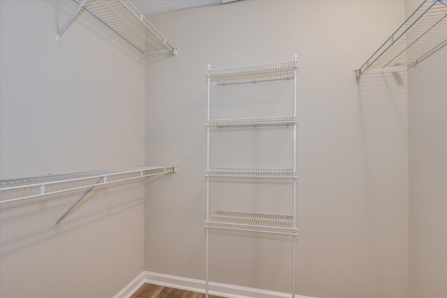spacious closet featuring wood finished floors