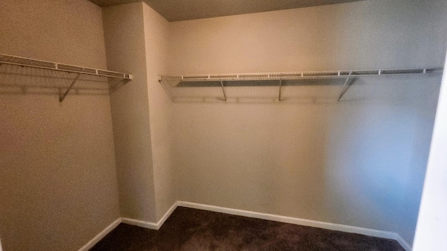 2806 Huntcliffe Dr, Augusta, GA 30909 - walk in closet with dark carpet