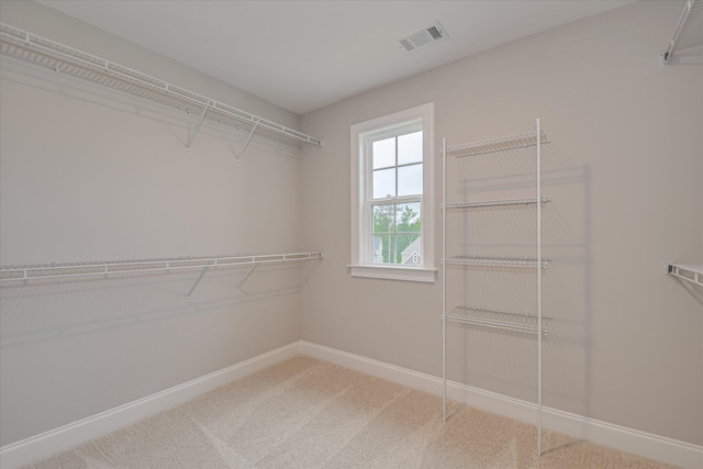 919 Walker Point Dr, Grovetown, GA 30813 - photo 37
