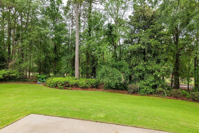 714 Jones Crk, Evans, GA 30809 - view of green lawn featuring a patio