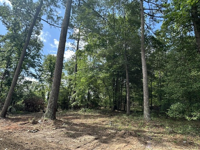170 Pressley Ln, Hephzibah, GA 30815 - photo 11
