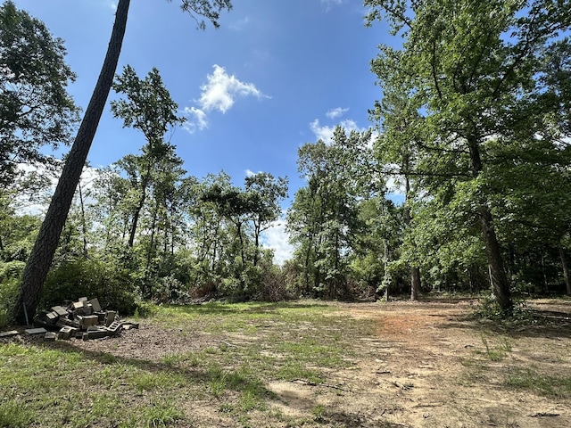 170 Pressley Ln, Hephzibah, GA 30815 - photo 7