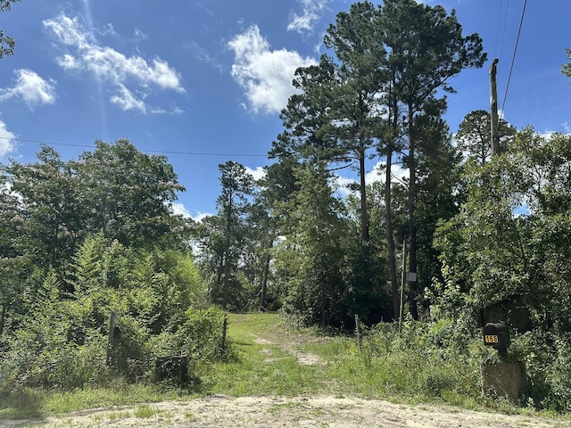 170 Pressley Ln, Hephzibah, GA 30815 - photo 1