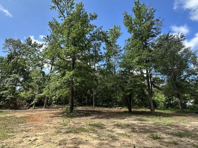170 Pressley Ln, Hephzibah, GA 30815 - photo 6