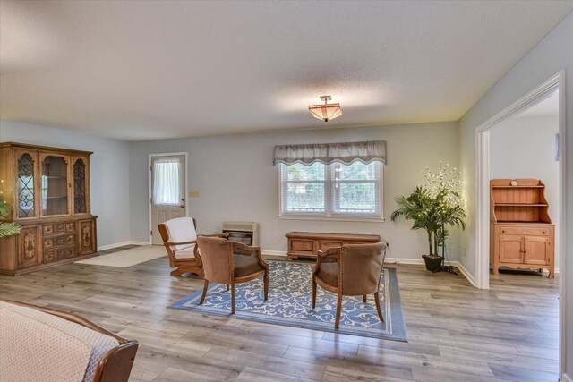 living area featuring light hardwood / wood-style floors and a textured ceiling