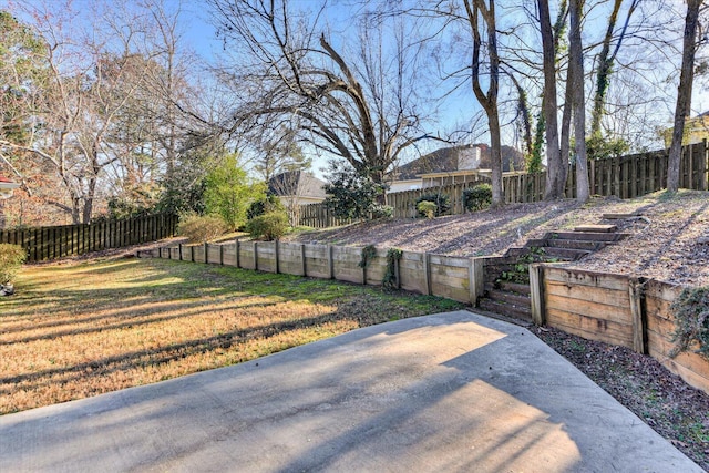 view of yard with a patio