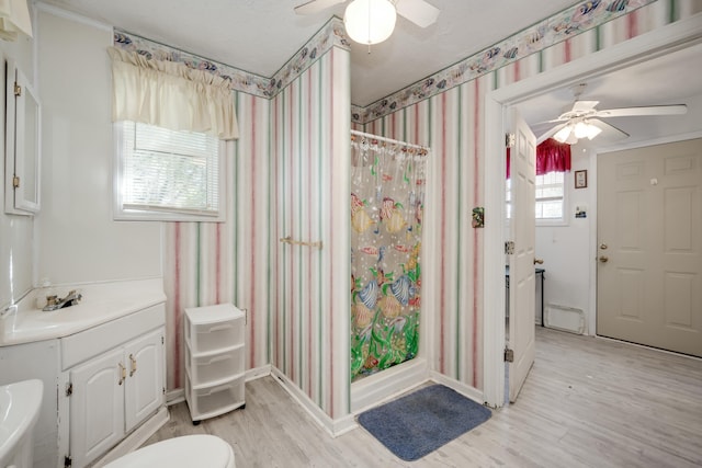 bathroom featuring ceiling fan, vanity, and wood-type flooring