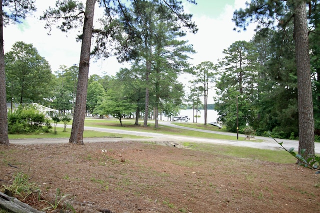 1321 Leverette Ave, Lincolnton, GA 30817 - photo 37