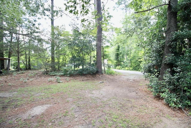 1321 Leverette Ave, Lincolnton, GA 30817 - photo 50