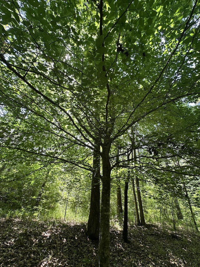 LOT11 S Pointe Dr, Tignall, GA 30668