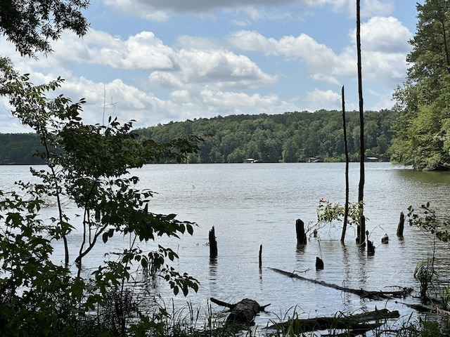 LOT11 S Pointe Dr, Tignall, GA 30668