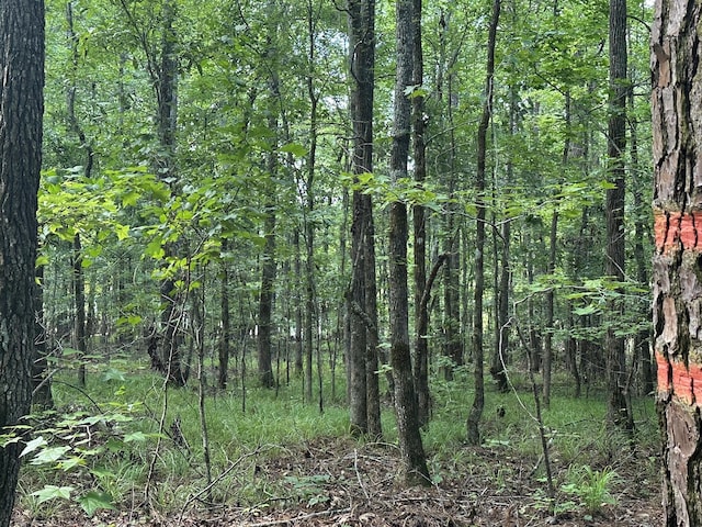 LOT11 S Pointe Dr, Tignall, GA 30668