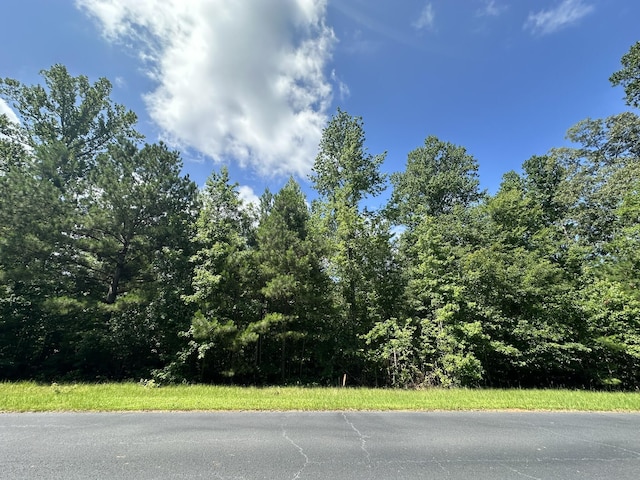 LOT11 S Pointe Dr, Tignall, GA 30668