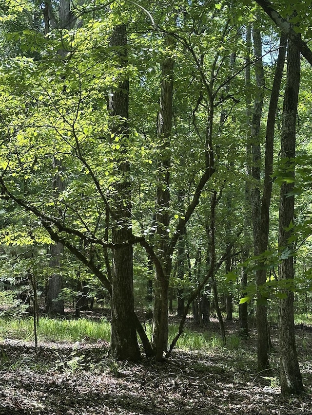 LOT11 S Pointe Dr, Tignall, GA 30668