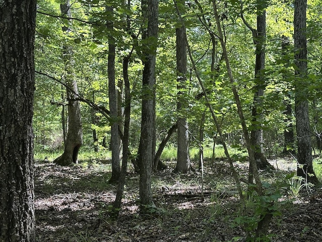 LOT11 S Pointe Dr, Tignall, GA 30668