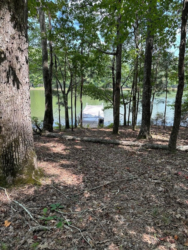 LOT11 S Pointe Dr, Tignall, GA 30668