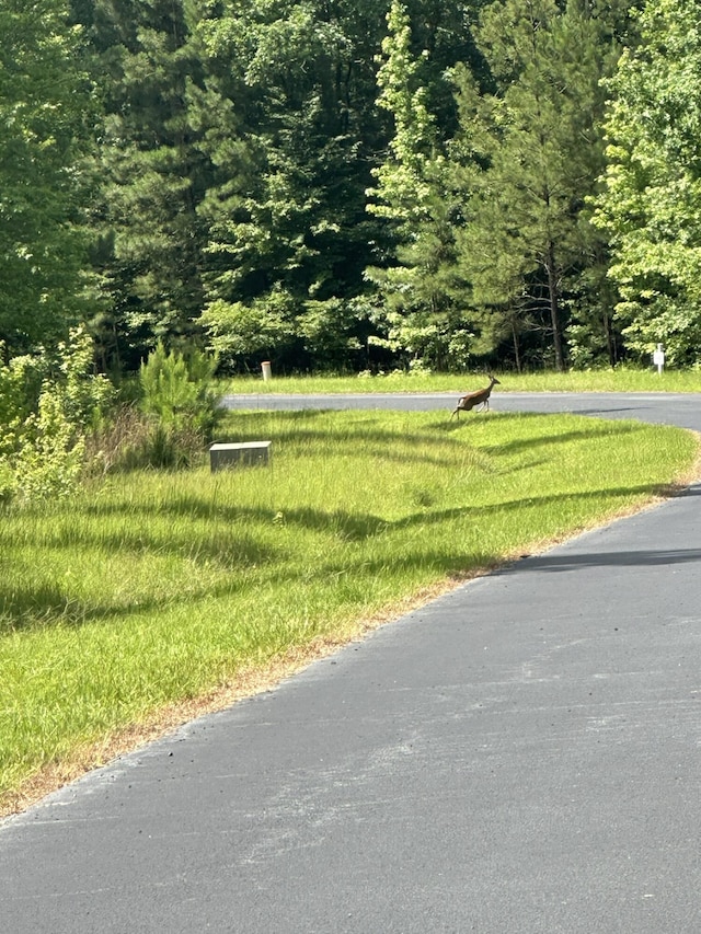 LOT11 S Pointe Dr, Tignall, GA 30668