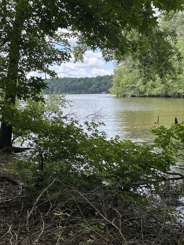 LOT11 S Pointe Dr, Tignall, GA 30668