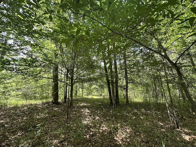 LOT11 S Pointe Dr, Tignall, GA 30668
