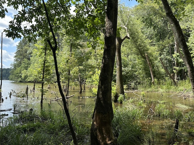LOT11 S Pointe Dr, Tignall, GA 30668