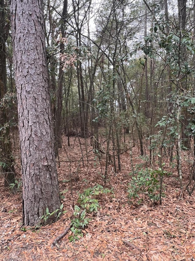 00 Durham Rd, Jackson SC, 29831 land for sale