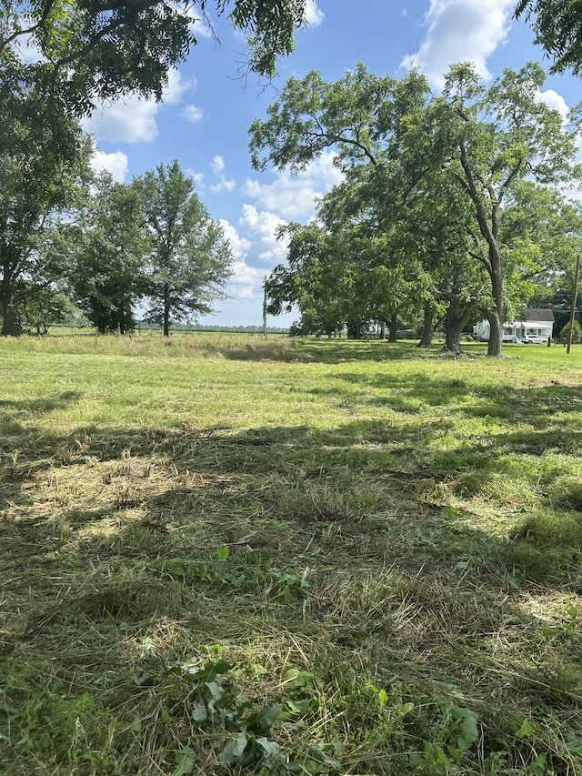 349 Early Sims Rd, Monetta, SC 29105 - view of grassy yard with a rural view