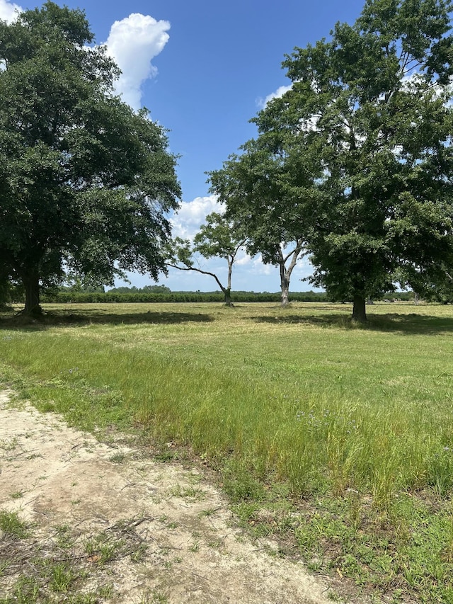 349 Early Sims Rd, Monetta, SC 29105 - view of local wilderness featuring rural landscape