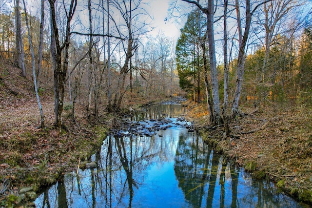view of water feature featuring a wooded view