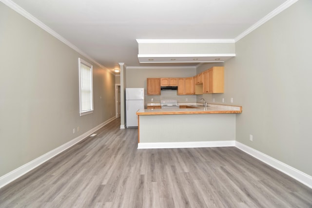 kitchen with kitchen peninsula, stove, crown molding, sink, and white fridge