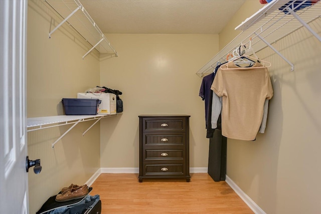 spacious closet featuring light wood-type flooring