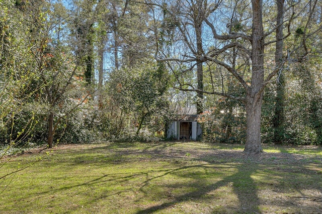 413 Park Dr, Waynesboro, GA 30830 - view of yard with an outbuilding