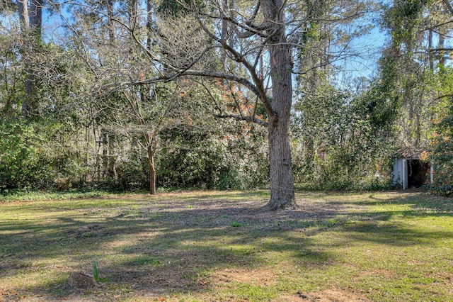 413 Park Dr, Waynesboro, GA 30830 - view of yard