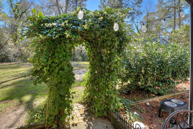 413 Park Dr, Waynesboro, GA 30830 - view of yard