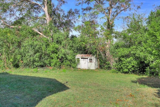 view of yard with a storage unit