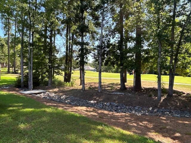295 Fairway Dr, Mccormick, SC 29835 - photo 32