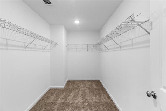 spacious closet with carpet floors and visible vents