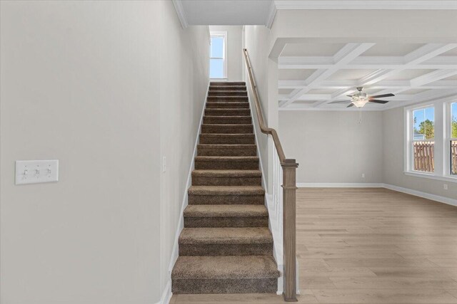 stairway featuring baseboards, coffered ceiling, a ceiling fan, wood finished floors, and beam ceiling