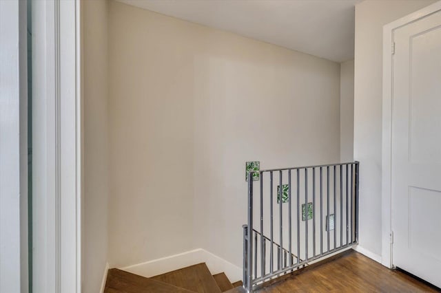 staircase with hardwood / wood-style flooring