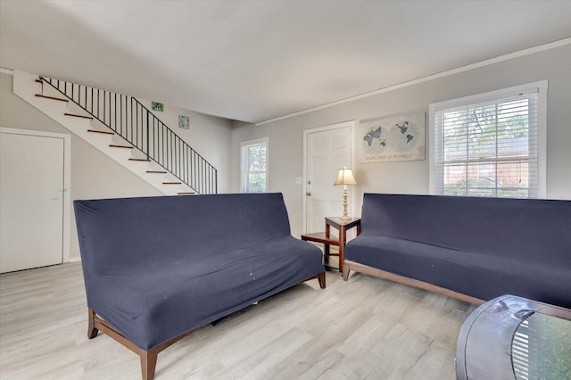 living room featuring crown molding and wood-type flooring