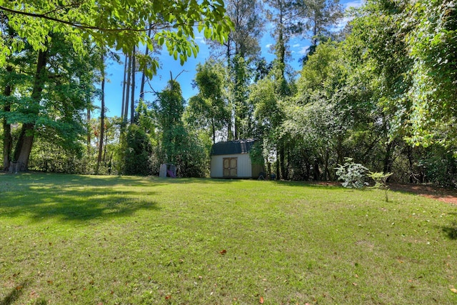 813 Hammond Dr, North Augusta, SC 29841 - view of grassy yard