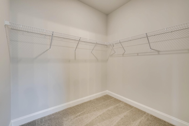3281 Heartwood Pass, Aiken, SC 29803 - photo 21
