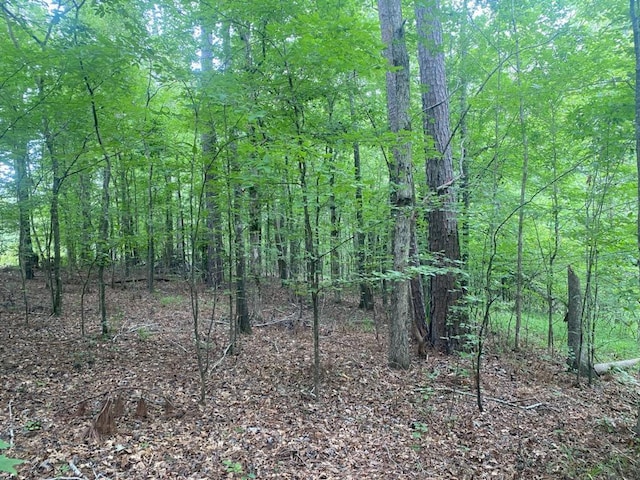 230 Crestridge Dr, Waynesboro, GA 30830