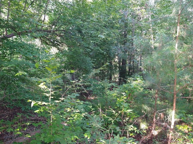 230 Crestridge Dr, Waynesboro, GA 30830