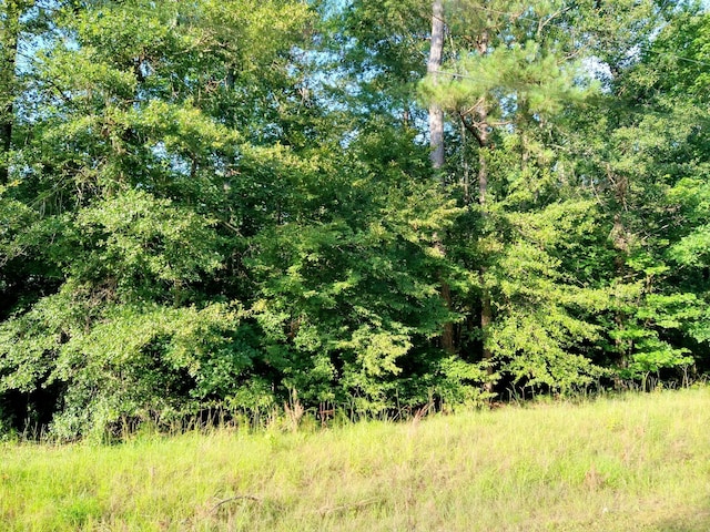 230 Crestridge Dr, Waynesboro, GA 30830
