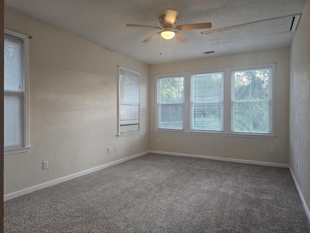 1313 Beman St, Augusta, GA 30904 - photo 7