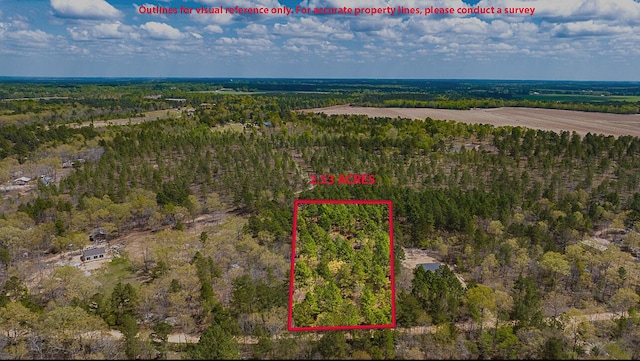 LOT4 Bluffwood Rd, Wagener, SC 29164 - photo 1