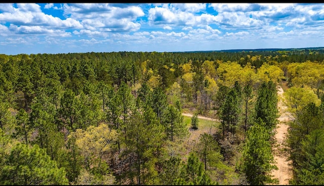 LOT4 Bluffwood Rd, Wagener, SC 29164 - photo 3
