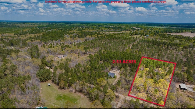 LOT4 Bluffwood Rd, Wagener, SC 29164 - photo 2