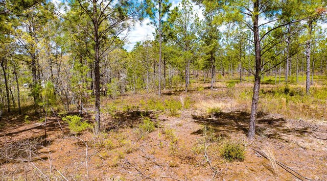 LOT4 Bluffwood Rd, Wagener, SC 29164 - photo 5